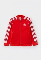 Олимпийка adidas Originals