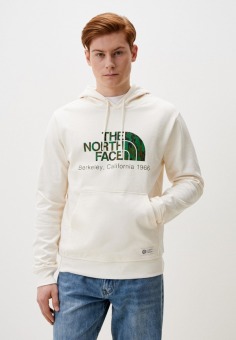 Худи The North Face