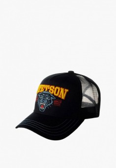 Бейсболка Stetson